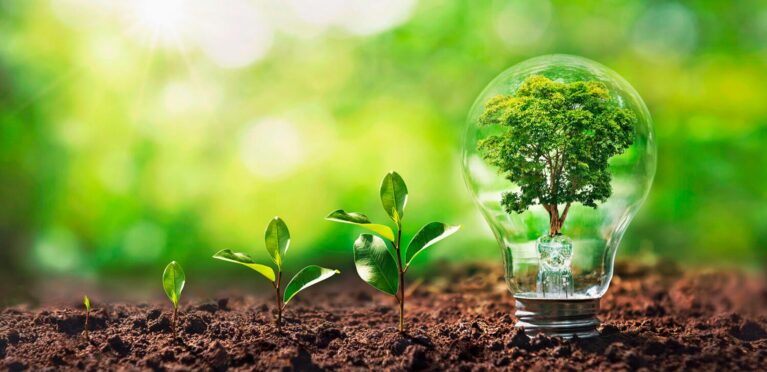 CER Roero: la Comunità Energetica continua a crescere